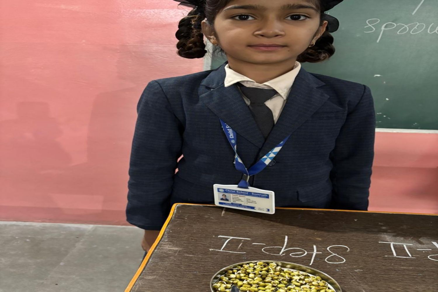 Science Activity Germination Of Seed